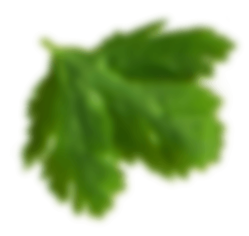 ingrediënten top view